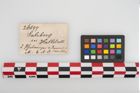 Foto von Schweineknochen (NHMW-PRAE-026898)